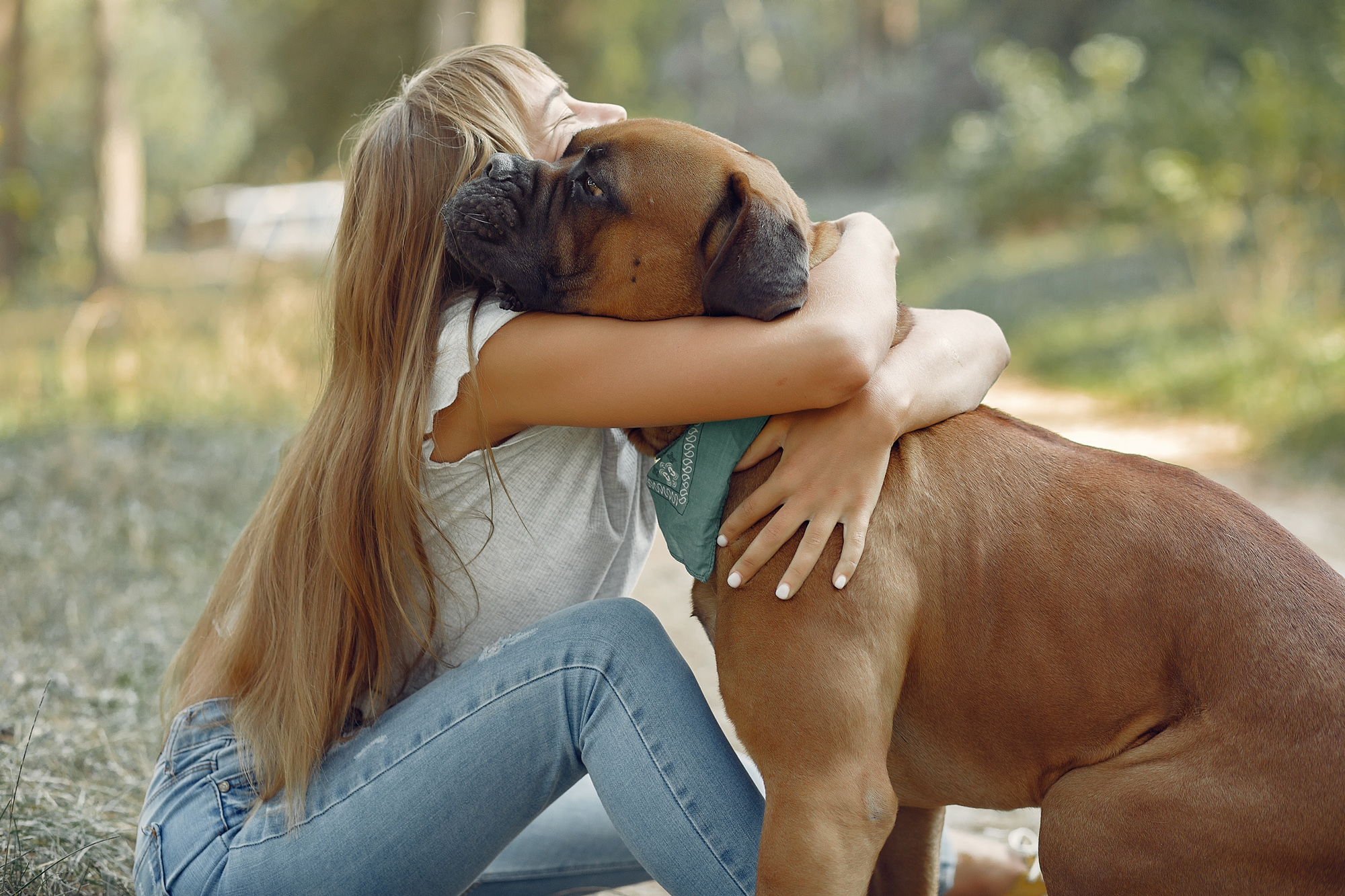 Memorials for Pets